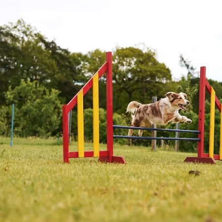 Holiday home Hof Koehne - Doppelhaus - Doppelhexe *