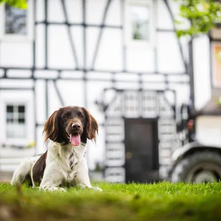 Hof Koehne - Doppelhaus - Doppelhexe * Schmallenberg