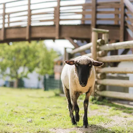 Hof Koehne - Doppelhaus - Doppelhexe *