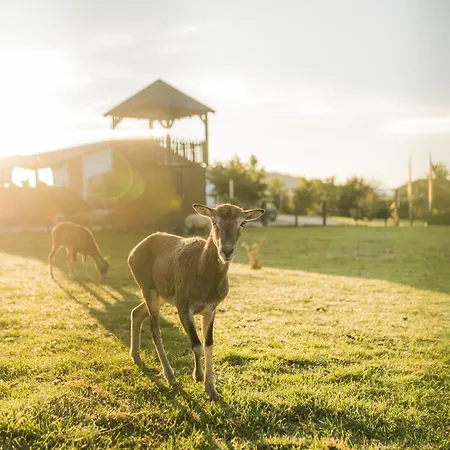 Hof Koehne - Doppelhaus - Doppelhexe Holiday home Schmallenberg