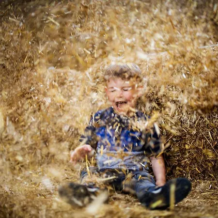 Hof Koehne - Doppelhaus - Doppelhexe Holiday home Schmallenberg