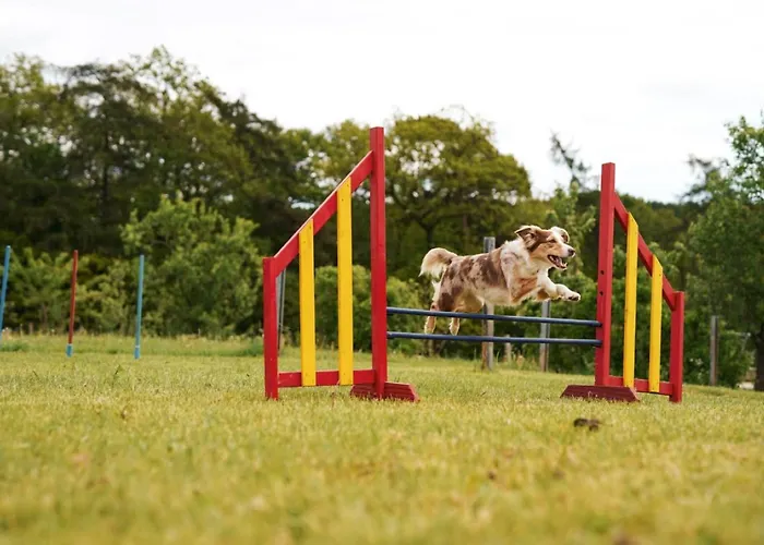 Σπίτι διακοπών Hof Koehne - Doppelhaus - Doppelhexe *