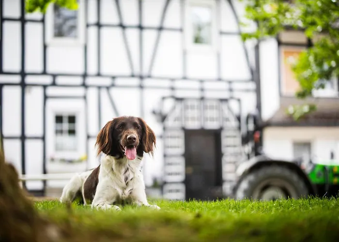 Hof Koehne - Doppelhaus - Doppelhexe * Schmallenberg