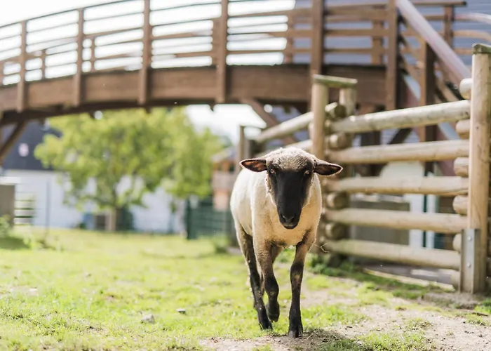 Hof Koehne - Doppelhaus - Doppelhexe *