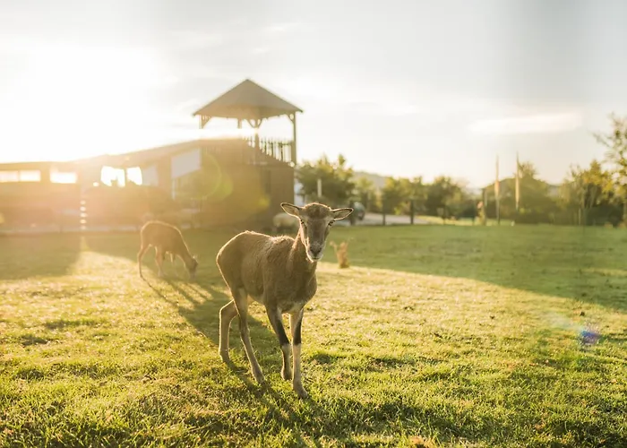 Hof Koehne - Doppelhaus - Doppelhexe Σπίτι διακοπών Schmallenberg